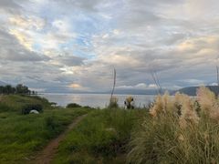 -才村湿地公园