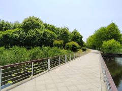 -同里国家湿地公园