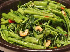 桑巴酱虾米啫空心菜-港丽餐厅(天河城店)