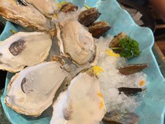 -牛New寿喜烧(金鹰世界店)
