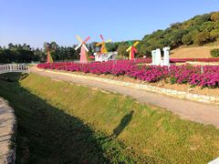 -松山湖梦幻百花洲