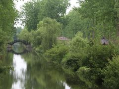 -合肥滨湖国家森林公园