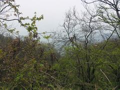 -紫金山索道-售票处