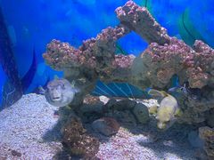 -绿色星球动物主题公园