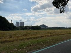 -光明小镇欢乐田园