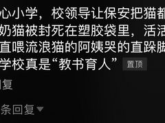 -上海市徐汇区第一中心小学