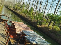 -合肥滨湖国家森林公园