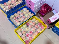 -老袁家蜜桃农场·阳山水蜜桃