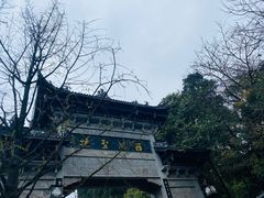 -凤栖山