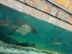 -新加坡水上探险乐园