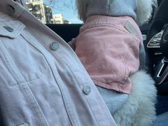 -天津波士信达奔驰4S店(卫津南路店)