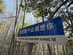 -莫干山风景区
