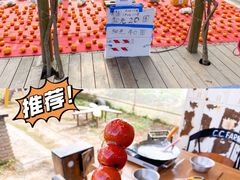 -前小桔亲子创意农场·草莓采摘·露营烧烤