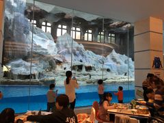 -帝企鹅自助餐厅•儿童岛•真企鹅(长隆企鹅酒店)