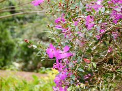 -广州市白云山风景名胜区