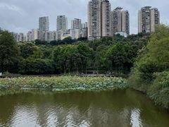 -龙头寺公园