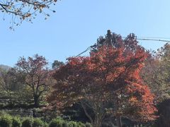 -塔川景区