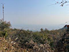 -阳台山自然风景区