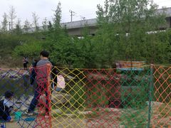 -秀丽东方