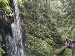 -青城山