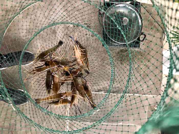 花鸟钓虾场-"老板好好礼貌,好友善,不过地址有d难稳,.