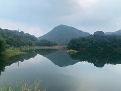 -广州市石门国家森林公园