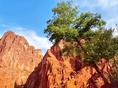 -天山神秘大峡谷