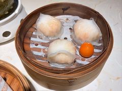 -点都德·毕德寮