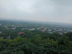 -上海佘山国家森林公园西佘山园