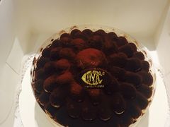 -COVA(上海K11艺术中心店)