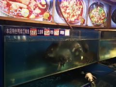水产区-山里屯铁锅炖(哈尔滨中央大街店)