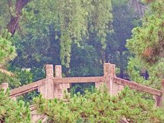 -上海醉白池公园