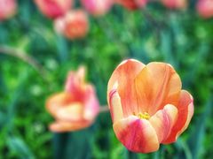 -长春公园(普阳街道)