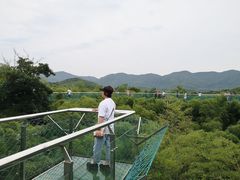 -陶祖圣境风景区