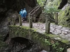-牛背梁国家森林公园