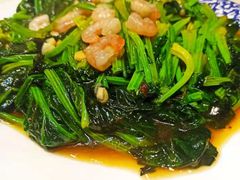 -老健康贾姨原味馆