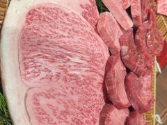 -俺的焼肉(銀座9丁目店)