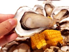 高压生蚝-陶苏·品味融合川菜(龙湖源著天街店)