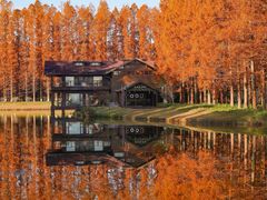 -黄海国家森林公园