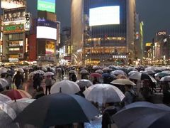 -涩谷全向十字路口