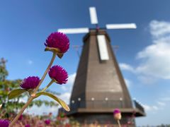 -漩门湾国家湿地公园