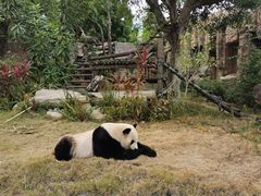 -灵玲国际马戏城