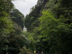-石台牯牛降景区