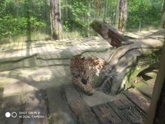 -西宁福茵长乐国际大酒店