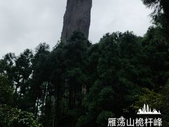 -雁荡山大龙湫景区