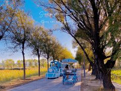 -野鸭湖国家湿地公园