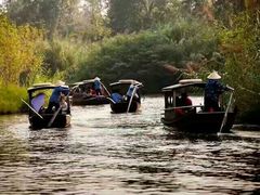 -溱湖国家湿地公园