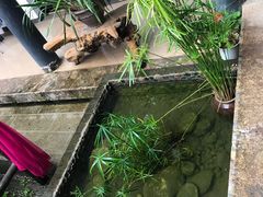 -浔岚云舍mist静谧观景美宿(丽江古城店)