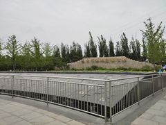 -永定河休闲森林公园