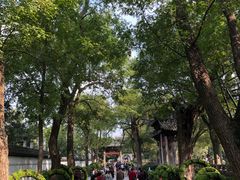-汇龙潭